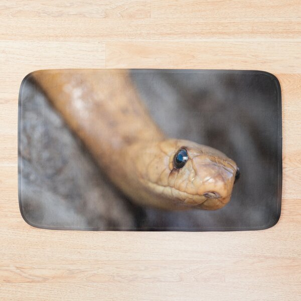 Item preview, Cape Cobra (Naja nivea) designed and sold by Pixel Press Prints.