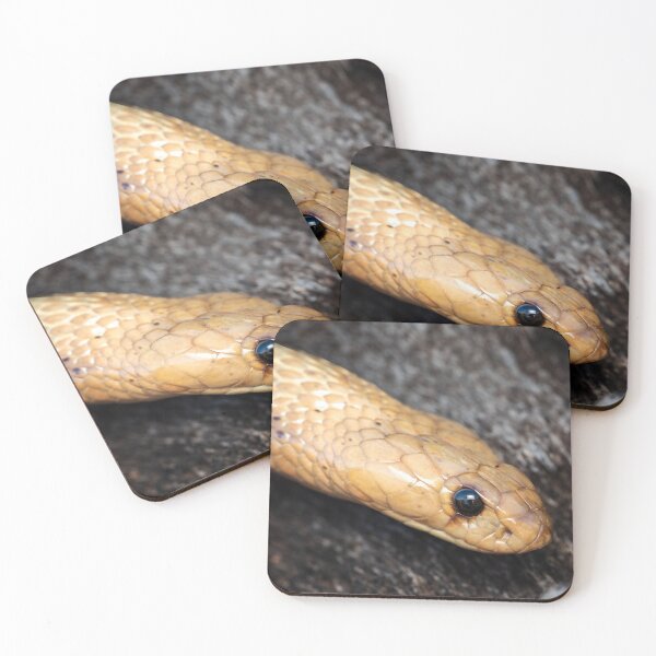 Item preview, Cape Cobra (Naja nivea) designed and sold by Pixel Press Prints.