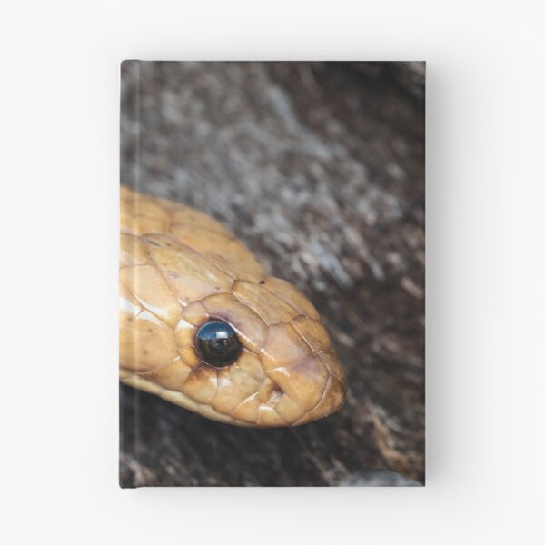 Item preview, Cape Cobra (Naja nivea) designed and sold by Pixel Press Prints.