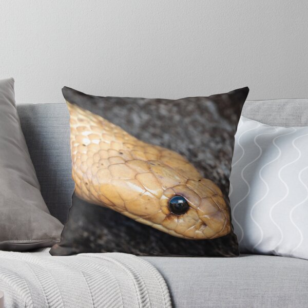 Item preview, Cape Cobra (Naja nivea) designed and sold by Pixel Press Prints.