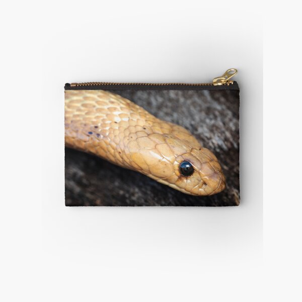 Item preview, Cape Cobra (Naja nivea) designed and sold by Pixel Press Prints.