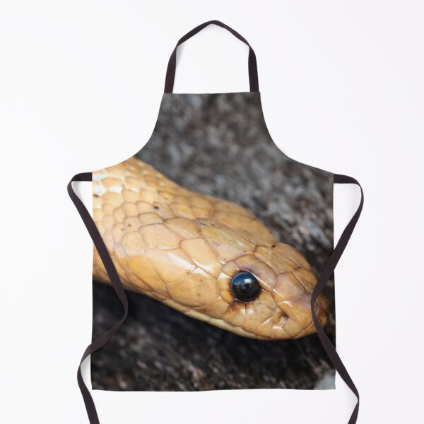 Item preview, Cape Cobra (Naja nivea) designed and sold by Pixel Press Prints.