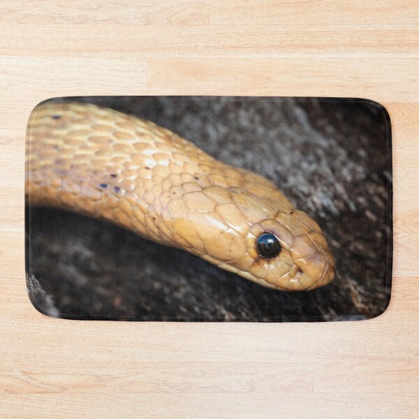 Item preview, Cape Cobra (Naja nivea) designed and sold by Pixel Press Prints.