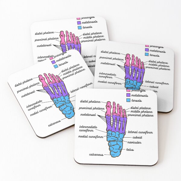 Item preview, Foot Anatomy- Bone designed and sold by iX-Physio.