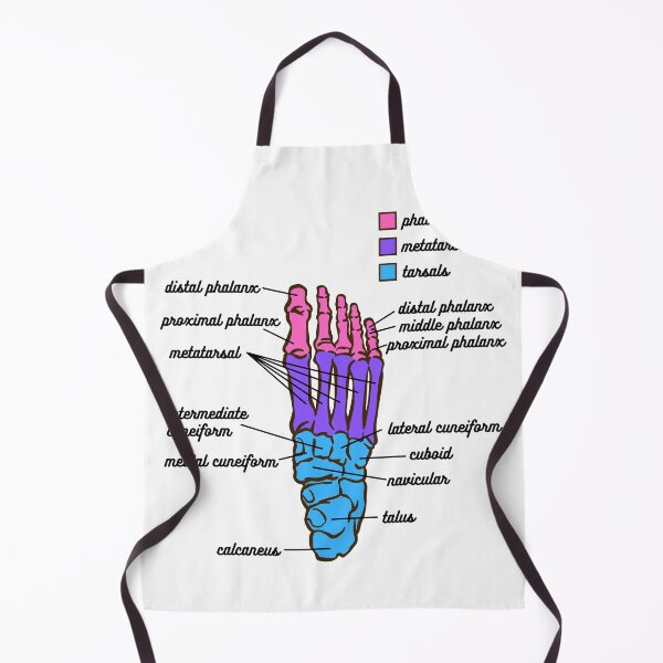 Item preview, Foot Anatomy- Bone designed and sold by iX-Physio.