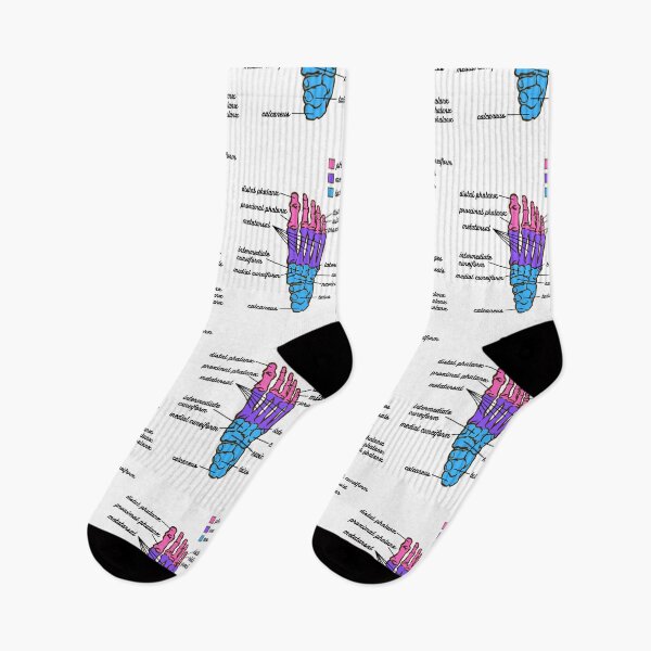 Item preview, Foot Anatomy- Bone designed and sold by iX-Physio.
