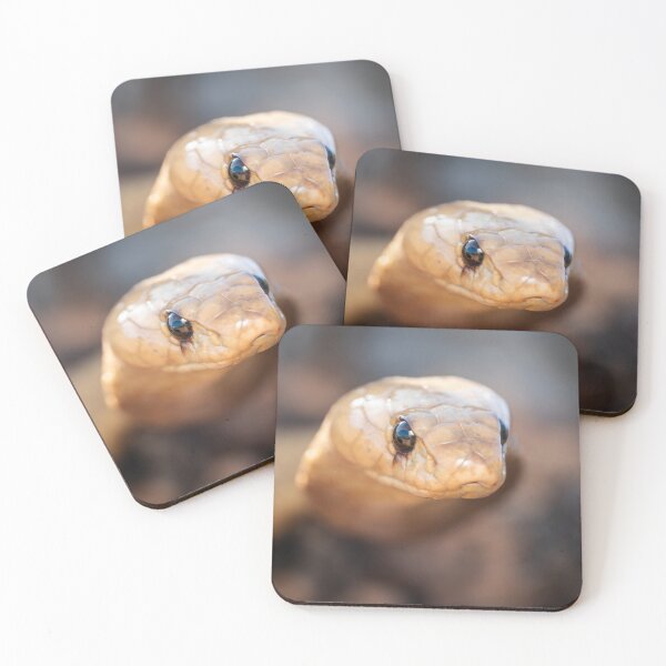 Item preview, Cape Cobra (Naja nivea) designed and sold by Pixel Press Prints.