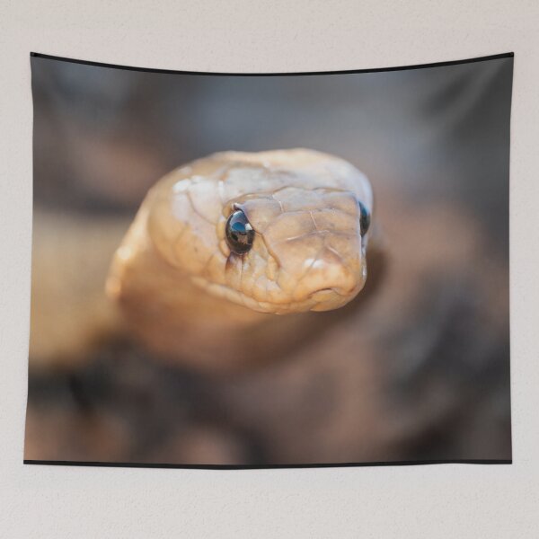 Item preview, Cape Cobra (Naja nivea) designed and sold by Pixel Press Prints.