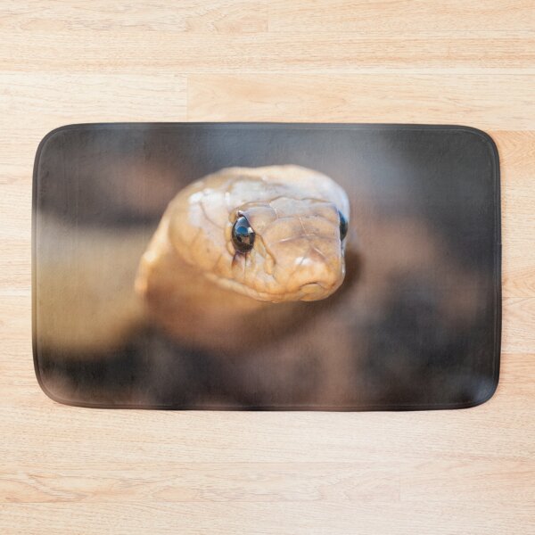 Item preview, Cape Cobra (Naja nivea) designed and sold by Pixel Press Prints.