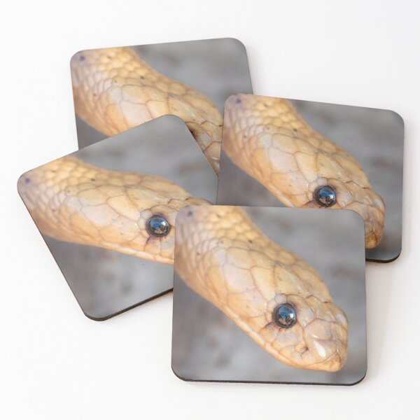 Item preview, Cape Cobra (Naja nivea) designed and sold by Pixel Press Prints.