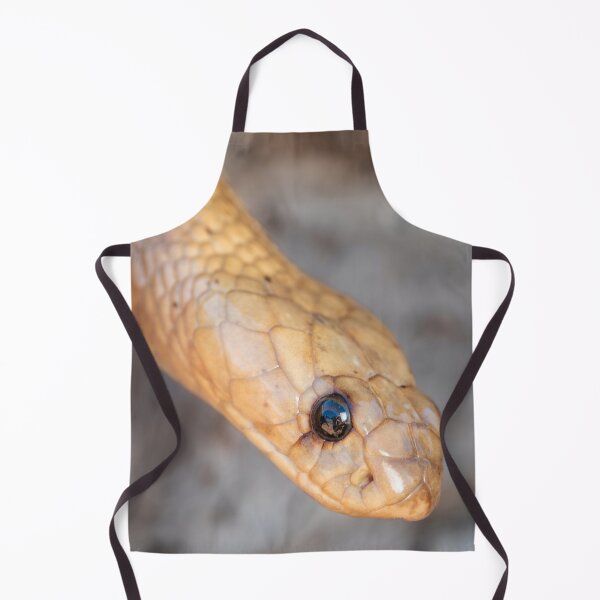 Item preview, Cape Cobra (Naja nivea) designed and sold by Pixel Press Prints.