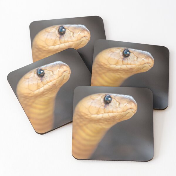 Item preview, Cape Cobra (Naja nivea) designed and sold by Pixel Press Prints.