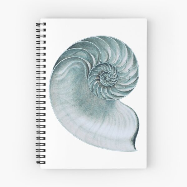 Item preview, Large Blue Conch Shell Fossil designed and sold by IrisAndIvy.