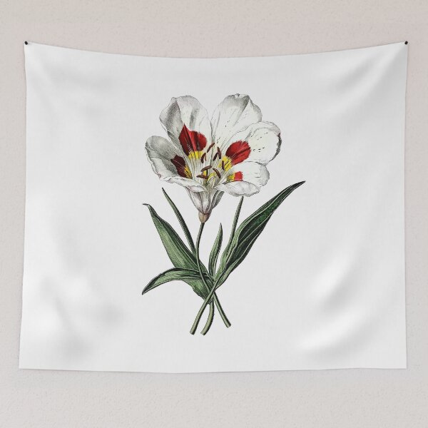 Item preview, Vintage Butterfly Mariposa Lily Illustration designed and sold by Liededrom..