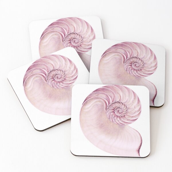 Item preview, Large Pink Conch Shell Fossil designed and sold by IrisAndIvy.