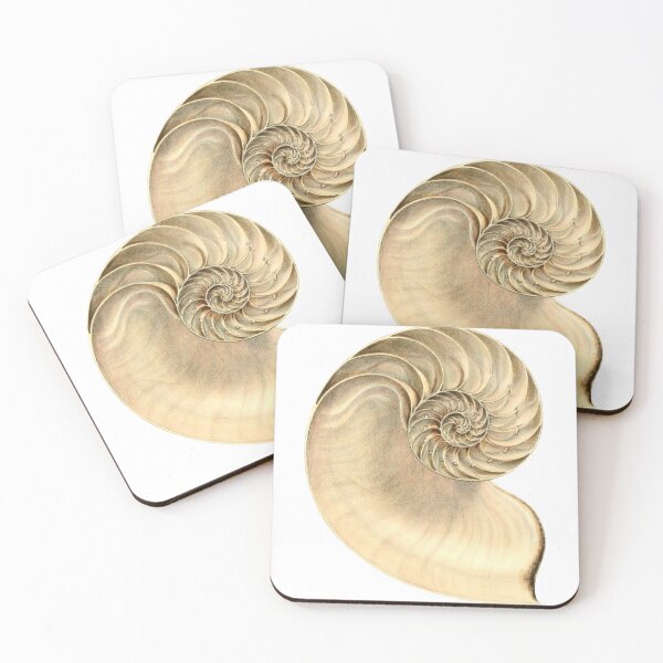 Item preview, Large Conch Shell Fossil designed and sold by IrisAndIvy.