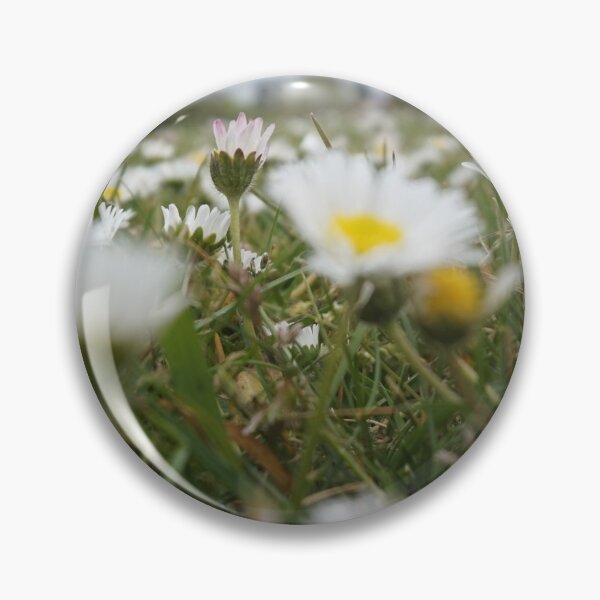 Item preview, A Daisy Does Not Pretend To Be A Rose designed and sold by StormCloudPhotography.