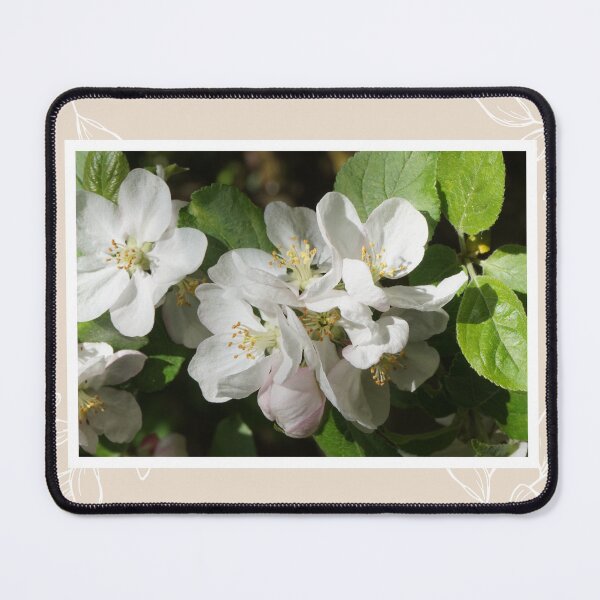 Item preview, Blossoms In The Sun designed and sold by StormCloudPhotography.