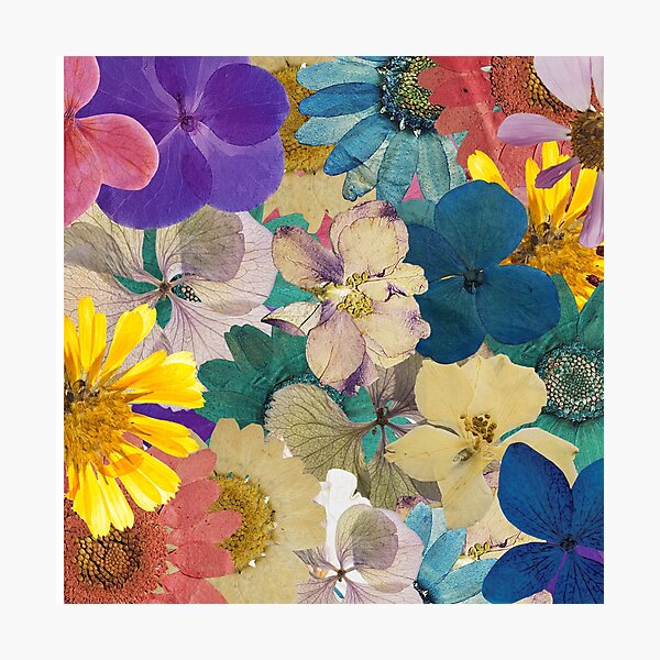 Aperçu de l'œuvre pluie de fleurs créée et vendue par moonflower467.