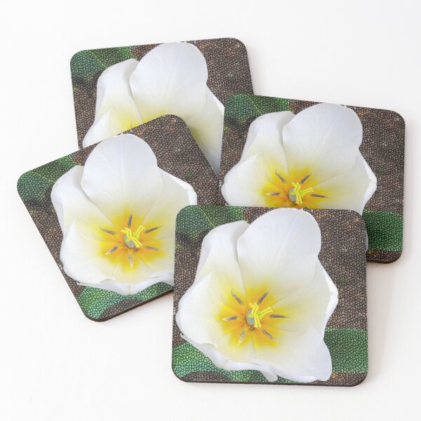 Item preview, White Tulip with Tile Background designed and sold by BostonArcImage.