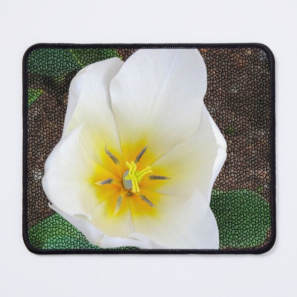 Item preview, White Tulip with Tile Background designed and sold by BostonArcImage.