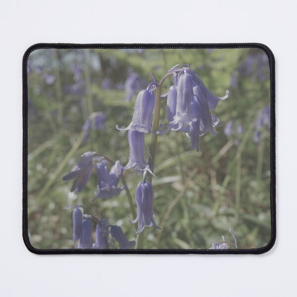 Item preview, Bluebells Ring Their Bells, Wintery Gloom Dispells designed and sold by StormCloudPhotography.