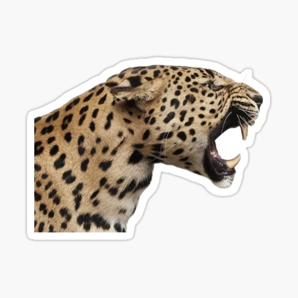 Vista previa del artículo con la obra «Leopardo», diseñado y vendido por Farther-Out.