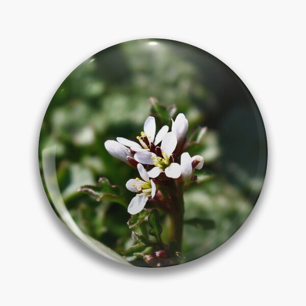 Item preview, Wavy bittercress designed and sold by McFleur's Lens.
