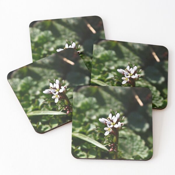 Item preview, Wavy bittercress designed and sold by McFleur's Lens.