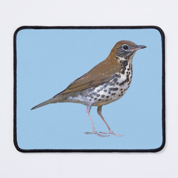 Item preview, Wood Thrush Color Design  designed and sold by designsasstultd.