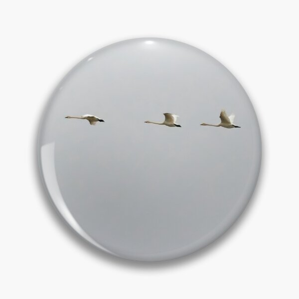 Item preview, Swanflyscape Whooper swan designed and sold by Jouko Lehto Photography.