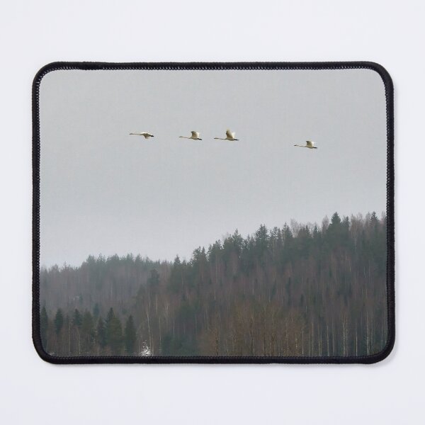Item preview, Swanflyscape Whooper swan designed and sold by Jouko Lehto Photography.