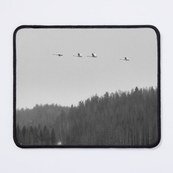 Item preview, Swanflyscape Whooper swan bw designed and sold by Jouko Lehto Photography.