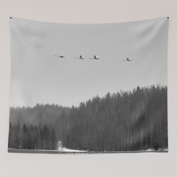 Item preview, Swanflyscape Whooper swan bw designed and sold by Jouko Lehto Photography.