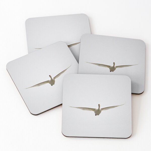 Item preview, Wings out. Whooper swan designed and sold by Jouko Lehto Photography.