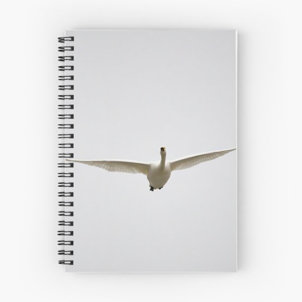Item preview, Wings out. Whooper swan designed and sold by Jouko Lehto Photography.