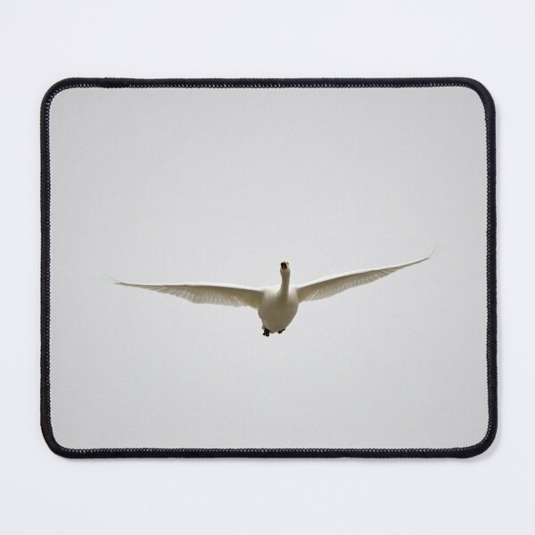 Item preview, Wings out. Whooper swan designed and sold by Jouko Lehto Photography.