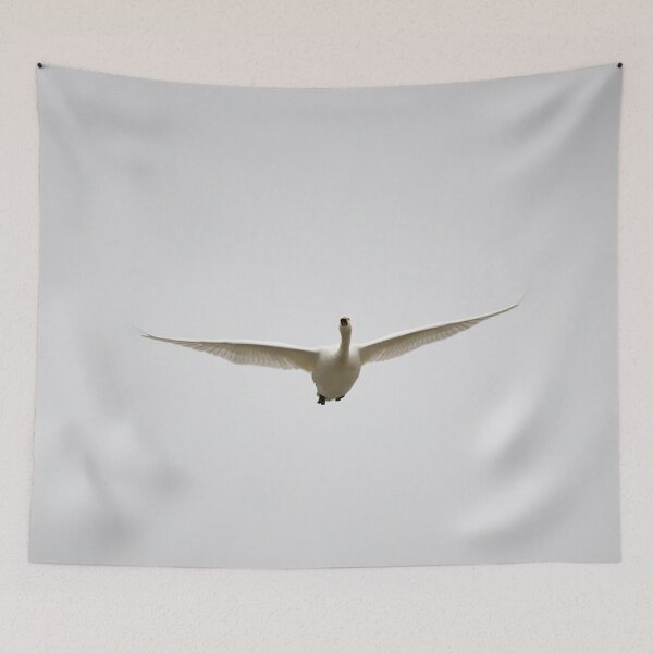 Item preview, Wings out. Whooper swan designed and sold by Jouko Lehto Photography.