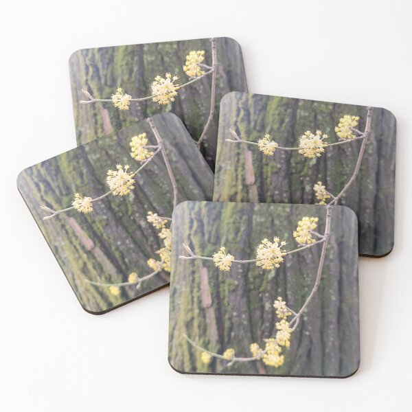 Item preview, spring, flowers, tree designed and sold by colorgallery11.