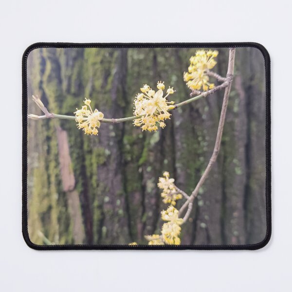 Item preview, spring, flowers, tree designed and sold by colorgallery11.
