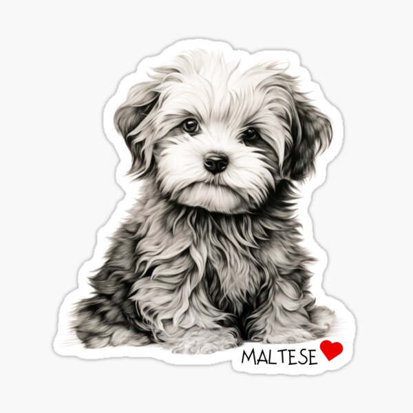 Item preview, Black & White Maltese – Mono Pet Portrait | Cute Maltese Dog | Gift for Maltese Lovers designed and sold by Zdarovsky.