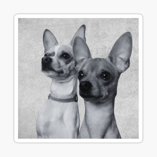 Item preview, The Boys designed and sold by beckscre8tive.