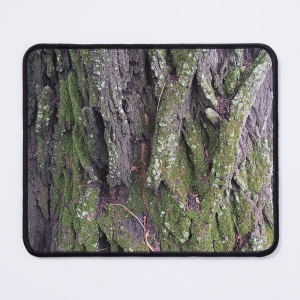 Item preview, spring, tree, down, tree bark designed and sold by colorgallery11.