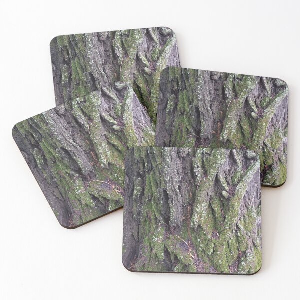 Item preview, spring, tree, down, tree bark designed and sold by colorgallery11.