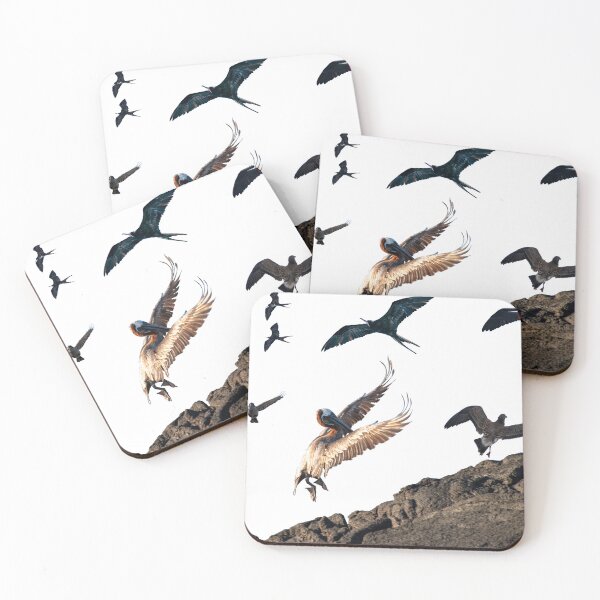 Item preview, Galapagos In Flight designed and sold by Carbon Based Lifeforms.
