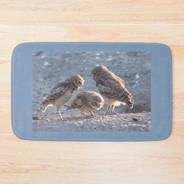 Item preview, Burrowing Owl Eyeing an Easy Meal designed and sold by CarolM.