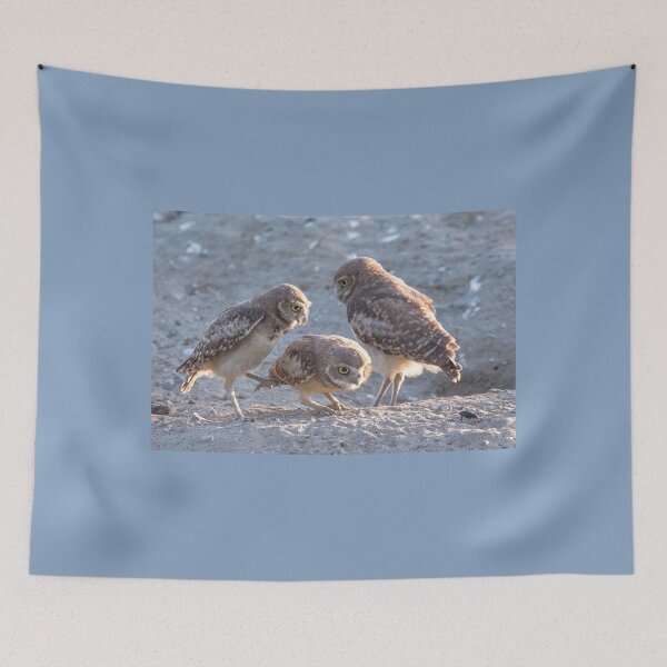 Item preview, Burrowing Owl Eyeing an Easy Meal designed and sold by CarolM.