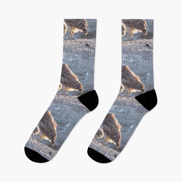 Item preview, Burrowing Owl Eyeing an Easy Meal designed and sold by CarolM.
