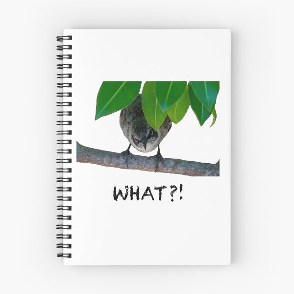 Item preview, Disgruntled Bird w/ Caption designed and sold by Carbon Based Lifeforms.