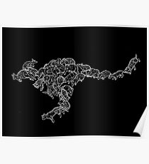 Marsupials - White and Black - Evolution Poster